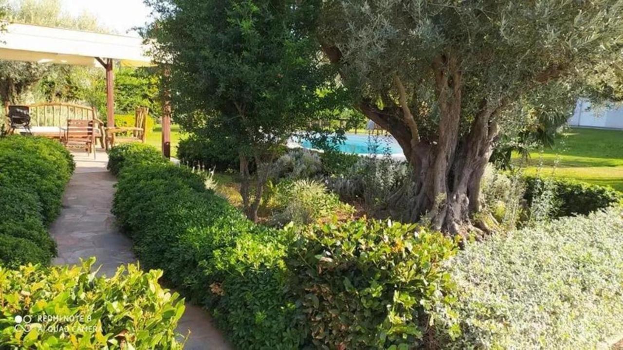 Luxurious 6 Bedroom Villa In A Great Location Chalkís Dış mekan fotoğraf